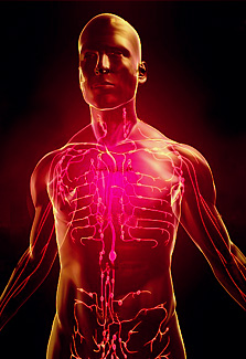 Institut Annabella, Bevilacqua,anna Bevilacqua, Th&eacute;rapeute, Gen&egrave;ve,aquasoins,suisse,m&eacute;decine naturelle,Institut de beaut&eacute;,drainage lymphatique m&eacute;thode Vodder, &eacute;pilations, forfaits, enveloppement d'algues, produits Decl&eacute;or,Arabesque, D&eacute;tente, Krishnamuti, aloe vera, laser, &eacute;pilation laser, photonius, &eacute;pilation d&eacute;finitive, bulbe, cr&egrave;me d&eacute;pilatoire, poil, lampe flash, anag&egrave;ne, catag&egrave;ne, soleil, solarium, endermologie, soins, visage, institut de beaut&eacute;, m&eacute;dical, cabinet, yves rocher, maquillage, soins du corps, soins du vidage, esth&eacute;tique, chirurgie, maquillage, lifting, soins lift, traitement des cicatrices, buste, aromath&eacute;rapie, relaxation, amincissant, visagiste, sant&eacute;, bien-&ecirc;tre, huiles essentielles, huiles, maladies, cerveau, probl&egrave;mes digestifs, relaxant, parfums,blanchiment dents, soins dentaire, sourire, s&eacute;duction, blanchissement des dents en France, blanchissement des dents en Suisse, sourire &eacute;tincelant, sourire &eacute;clatant, dents blanches pas cher, gel blanchissant,dentiste Gen&egrave;ve, dentiste Suisse,esth&eacute;tique dentaire,bandes de blanchissement.