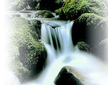 Institut Annabella, Bevilacqua,anna Bevilacqua, Th&eacute;rapeute, Gen&egrave;ve,aquasoins,suisse,m&eacute;decine naturelle,Institut de beaut&eacute;,drainage lymphatique m&eacute;thode Vodder, &eacute;pilations, forfaits, enveloppement d'algues, produits Decl&eacute;or,Arabesque, D&eacute;tente, Krishnamuti, aloe vera, laser, &eacute;pilation laser, photonius, &eacute;pilation d&eacute;finitive, bulbe, cr&egrave;me d&eacute;pilatoire, poil, lampe flash, anag&egrave;ne, catag&egrave;ne, soleil, solarium, endermologie, soins, visage, institut de beaut&eacute;, m&eacute;dical, cabinet, yves rocher, maquillage, soins du corps, soins du vidage, esth&eacute;tique, chirurgie, maquillage, lifting, soins lift, traitement des cicatrices, buste, aromath&eacute;rapie, relaxation, amincissant, visagiste, sant&eacute;, bien-&ecirc;tre, huiles essentielles, huiles, maladies, cerveau, probl&egrave;mes digestifs, relaxant, parfums,blanchiment dents, soins dentaire, sourire, s&eacute;duction, blanchissement des dents en France, blanchissement des dents en Suisse, sourire &eacute;tincelant, sourire &eacute;clatant, dents blanches pas cher, gel blanchissant,dentiste Gen&egrave;ve, dentiste Suisse,esth&eacute;tique dentaire,bandes de blanchissement.