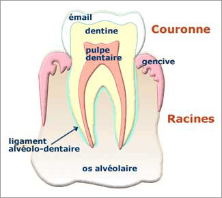 Institut Annabella, Bevilacqua,anna Bevilacqua, Th�rapeute, Gen�ve,aquasoins,suisse,m�decine naturelle,Institut de beaut�,r�flexologie,drainage lymphatique m�thode Vodder, �pilations, manucure, p�dicure, ongles, faux ongles, soins mains, forfaits, enveloppement d'algues, produits Decl�or,Arabesque, D�tente, Krishnamuti, aloe vera, laser, �pilation laser, photonius, �pilation d�finitive, bulbe, cr�me d�pilatoire, poil, lampe flash, anag�ne, catag�ne, soleil, solarium, endermologie, soins, visage, institut de beaut�, m�dical, cabinet, yves rocher, maquillage, soins du corps, soins du vidage, esth�tique, chirurgie, maquillage, lifting, soins lift, traitement des cicatrices, buste, aromath�rapie, relaxation, amincissant, visagiste, sant�, bien-�tre, huiles essentielles, huiles, maladies, cerveau, probl�mes digestifs, reboutement visc�ral, relaxant, parfums,blanchiment dents, soins dentaire, sourire, s�duction, blanchissement des dents en France, blanchissement des dents en Suisse, sourire �tincelant, sourire �clatant, dents blanches pas cher, gel blanchissant,dentiste Gen�ve, dentiste Suisse,esth�tique dentaire,bandes de blanchissement.